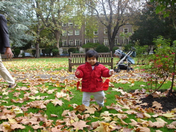12 Nov autumn 5.jpg